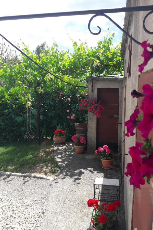 Holiday Home Ivana Pasjak Exterior foto