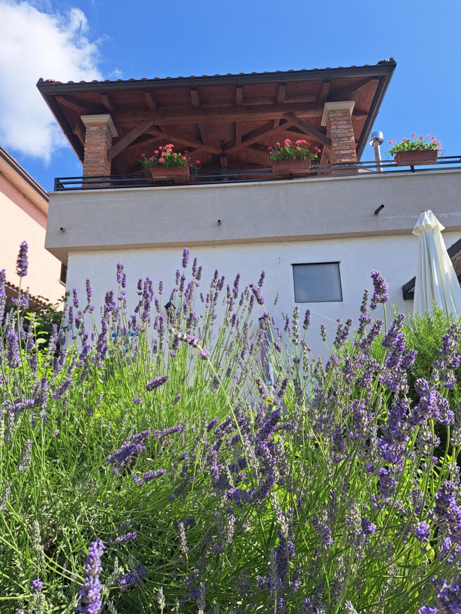 Holiday Home Ivana Pasjak Exterior foto
